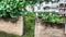 Signature Properties Main Image 1