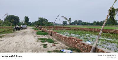 Salauli Plot View 2