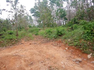 Image of 13502 Sq.ft Residential Plot / Land for sale in Alathur, Palakkad for Rs. 9300000