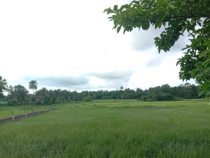 Residential plot Sonarpur Main Image 1