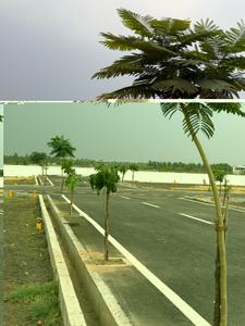 Image of 1485 Sq.ft Residential Plot / Land for sale in Keeranatham, Coimbatore for Rs. 4857450