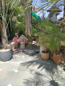 Balcony Image of 2200 Sq.ft 3 BHK Independent House for sale in Sector 21 Panchkula for Rs. 56000000