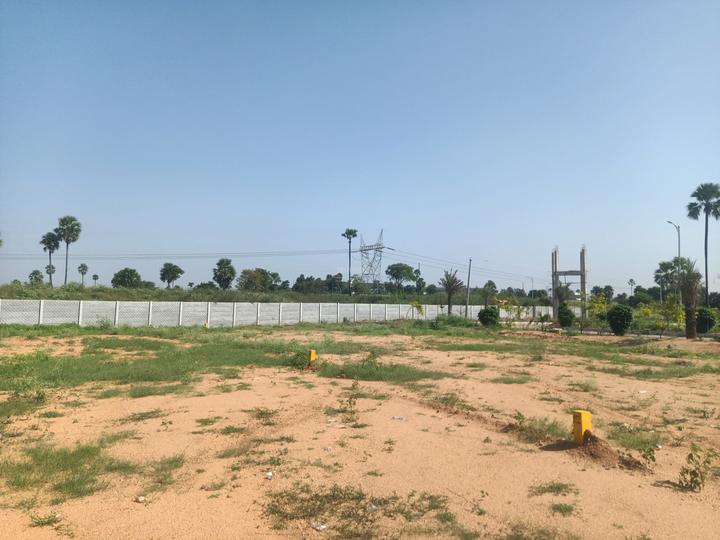 Golden Exotica Main Image 1