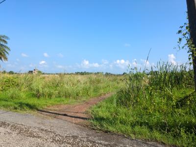 Wander Valley Plot View 1