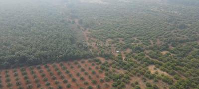Agricultural Land