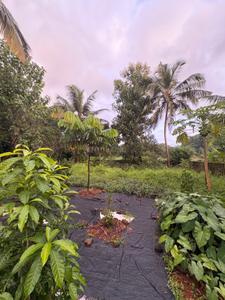Image of 2200 Sq.ft 3 BHK Farm House for sale in Katapady, Udupi for Rs. 12500000
