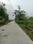 M M Jewel Park Township Internal Roads 1