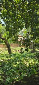 Image of 1742 Sq.ft Residential Plot / Land for sale in Feroke, Kozhikode for Rs. 2720000