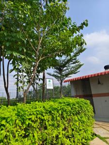 Image of 3000 Sq.ft 4 BHK Independent House for sale in Kachana, Raipur for Rs. 12000001