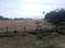Valliyur Plot View 2