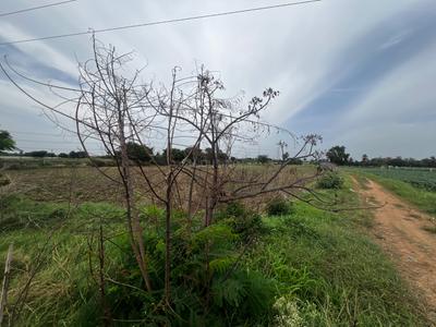 Image of 12100 Sq.ft Residential Plot / Land for sale in Shabad, Hyderabad for Rs. 85000000