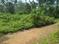 Thiruvalla Plot View 2