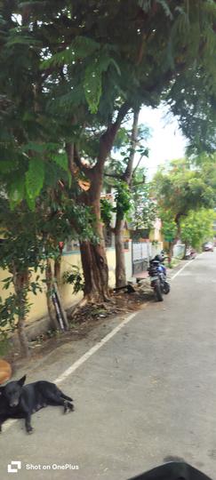 Tamil Nadu Agricultural University, PN Pudur Main Image 1