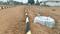Yadagirigutta Plot View 2