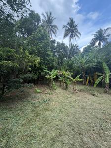 Image of 3267 Sq.ft Residential Plot / Land for sale in Kuttoor, Thrissur for Rs. 515000