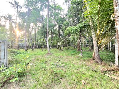 Image of 9570 Sq.ft Residential Plot / Land for sale in North Parvur, Kochi for Rs. 8800000