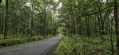 Image of 3000 Sq.ft Residential Plot / Land for sale in Nildoh, Nagpur for Rs. 1230000