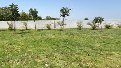 Image of 1323 Sq.ft Residential Plot / Land for sale in Amangal, Ranga Reddy for Rs. 2351999