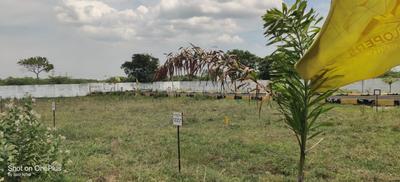 Image of 600 Sq.ft Residential Plot / Land for sale in Red Hills, Chennai for Rs. 1380000