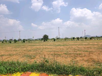 Residential Plot