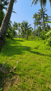 Image of 43560 Sq.ft Residential Plot / Land for sale in Thrippunithura, Kochi for Rs. 150000000