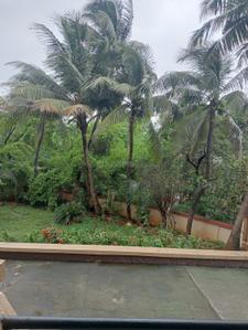 Balcony Image of 1400 Sq.ft 3 BHK Apartment / Flat for rent in Cosmic Sea Shell Apartment, Andheri West Mumbai for Rs. 156000