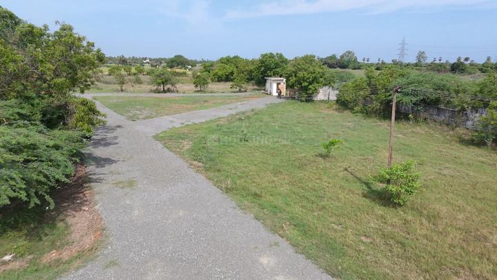 Nenmeli, Chengalpattu Main Image 1
