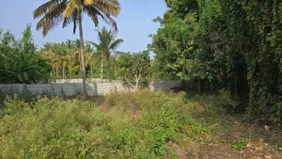 Manasa Tej Plot View 2