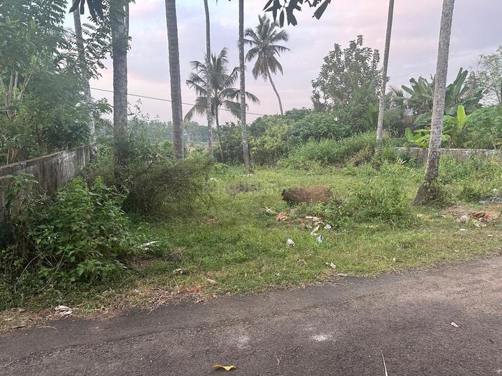 Ayyanthole Main Image 1