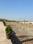 Theur Main Image 1