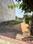 Vijay Nagar Plot View 2