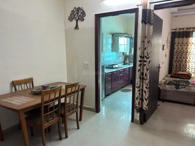 Hall Image of 1100 Sq.ft 2 BHK Apartment / Flat for rent in Kharar Mohali for Rs. 17500