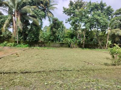 Image of 330 Sq.ft Residential Plot / Land for sale in Nedumbassery, Aluva for Rs. 400000