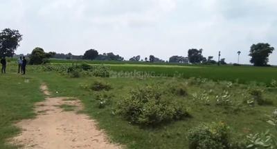 Image of 1200 Sq.ft Residential Plot / Land for sale in Bihta, Patna for Rs. 778000