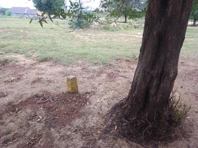 Panguru area Plot View 3