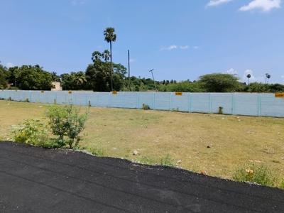 Residential Plot