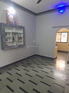 Hall Image of 800 Sq.ft 1 BHK Apartment / Flat for rent in DMS Vrindavan, Kasturba Nagar Ratlam for Rs. 10000