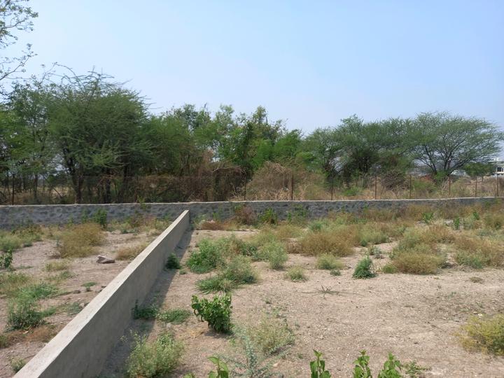 Maan Main Image 1