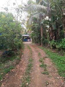Image of 13939 Sq.ft Residential Plot / Land for sale in Koorkenchery, Thrissur for Rs. 6400000