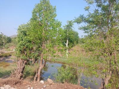 Image of 6000 Sq.ft Residential Plot / Land for sale in Gajinda, Indore for Rs. 2500000