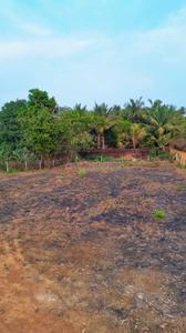 Image of 9000 Sq.ft Residential Plot / Land for sale in Kankavli, Sindhudurg for Rs. 3600000