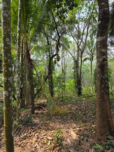Image of 4655 Sq.ft Residential Plot / Land for sale in Minalur, Thrissur for Rs. 125000