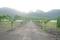 Ramshej Main Image 1