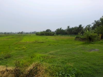 Golden city 2 plot Plot View 2