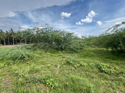 Residential Plot
