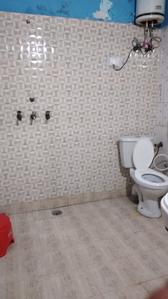 Bathroom Image of Pg for girls in Sector 52, Noida