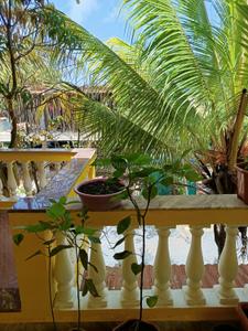 Balcony Image of 1000 Sq.ft 2 BHK Apartment / Flat for rent in Porvorim Goa for Rs. 28000