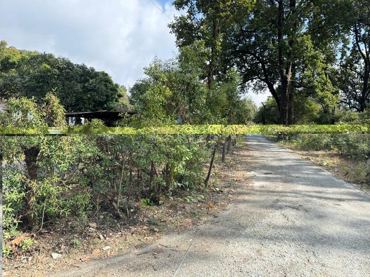 Jhibrani  thano Main Image 1