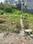 Lower Muthi Plot View 1