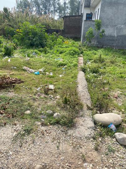 Lower Muthi Plot View 1